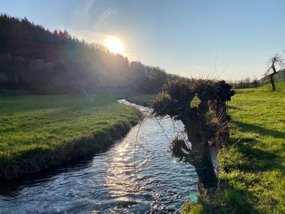 Trubach (Egloffstein) angeln