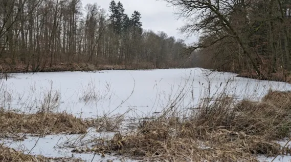 Großer Harbteich