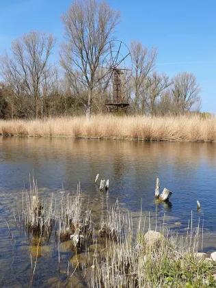 Kossau (Lippe)