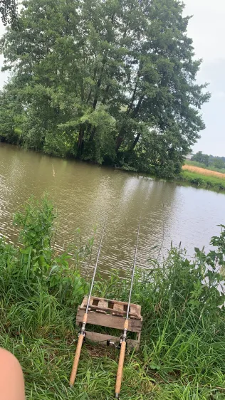 Rott (Eggenfelden)