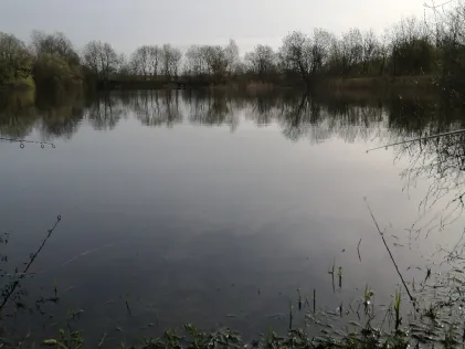 Hoffnung-Seen (Haurup)