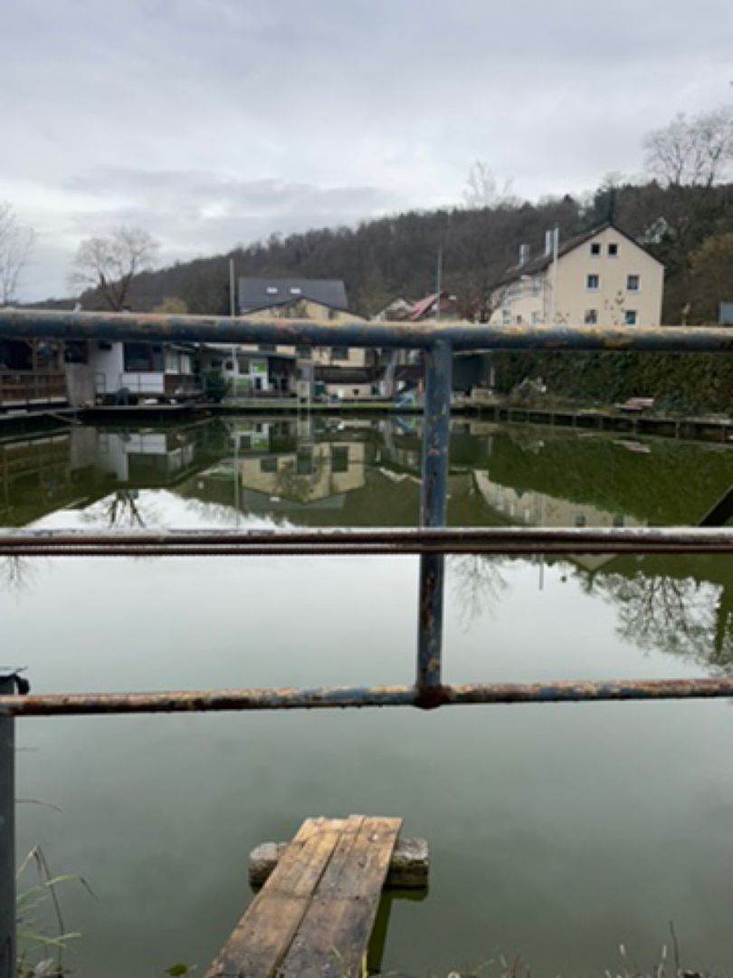 Fischzucht Brünner (Esslingen/Neckar) angeln