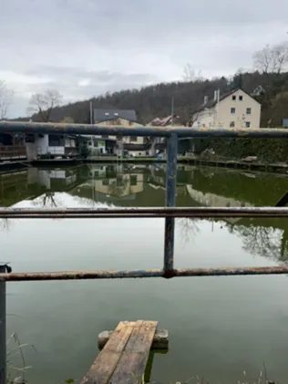 Fischzucht Brünner (Esslingen/Neckar)