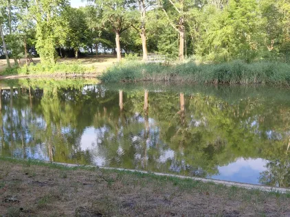 Westenquolls (Brachstedt)