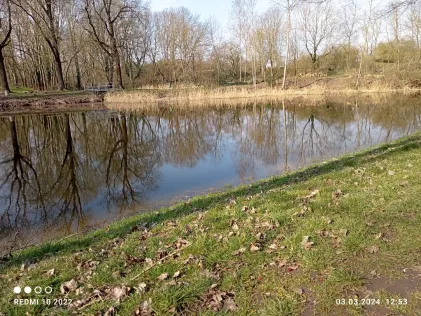 Westenquolls (Brachstedt)
