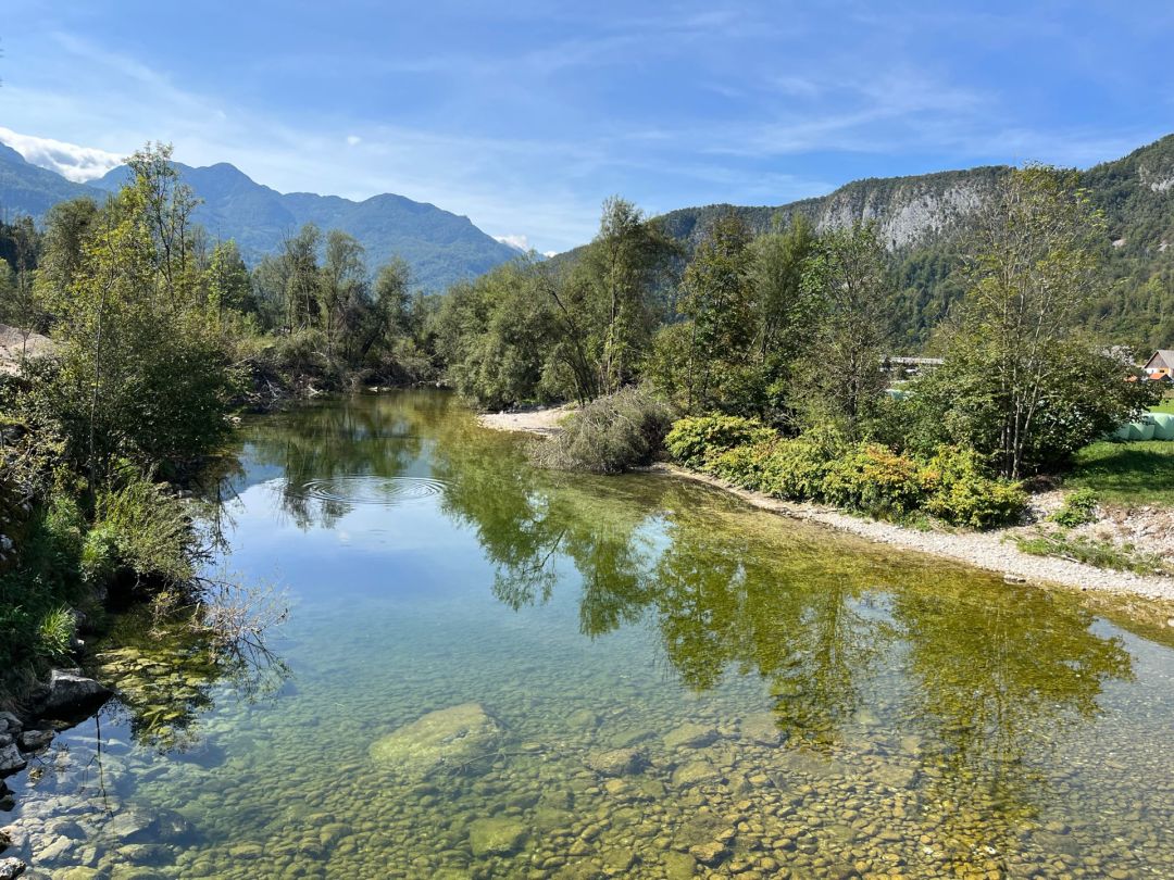 Sava Bohinka (Bohinjska Bistrica) angeln