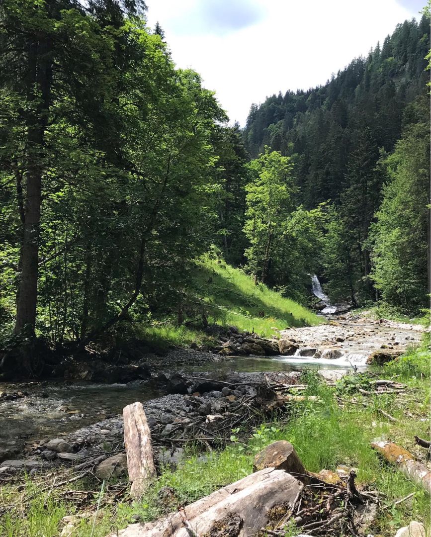 Taurach (Untertauern) angeln