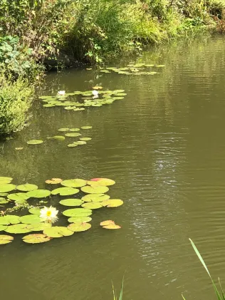 Angelweiher Camping Kontiki