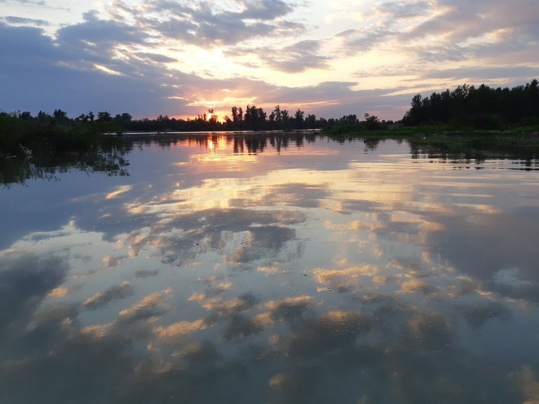 Drina (Janja) angeln