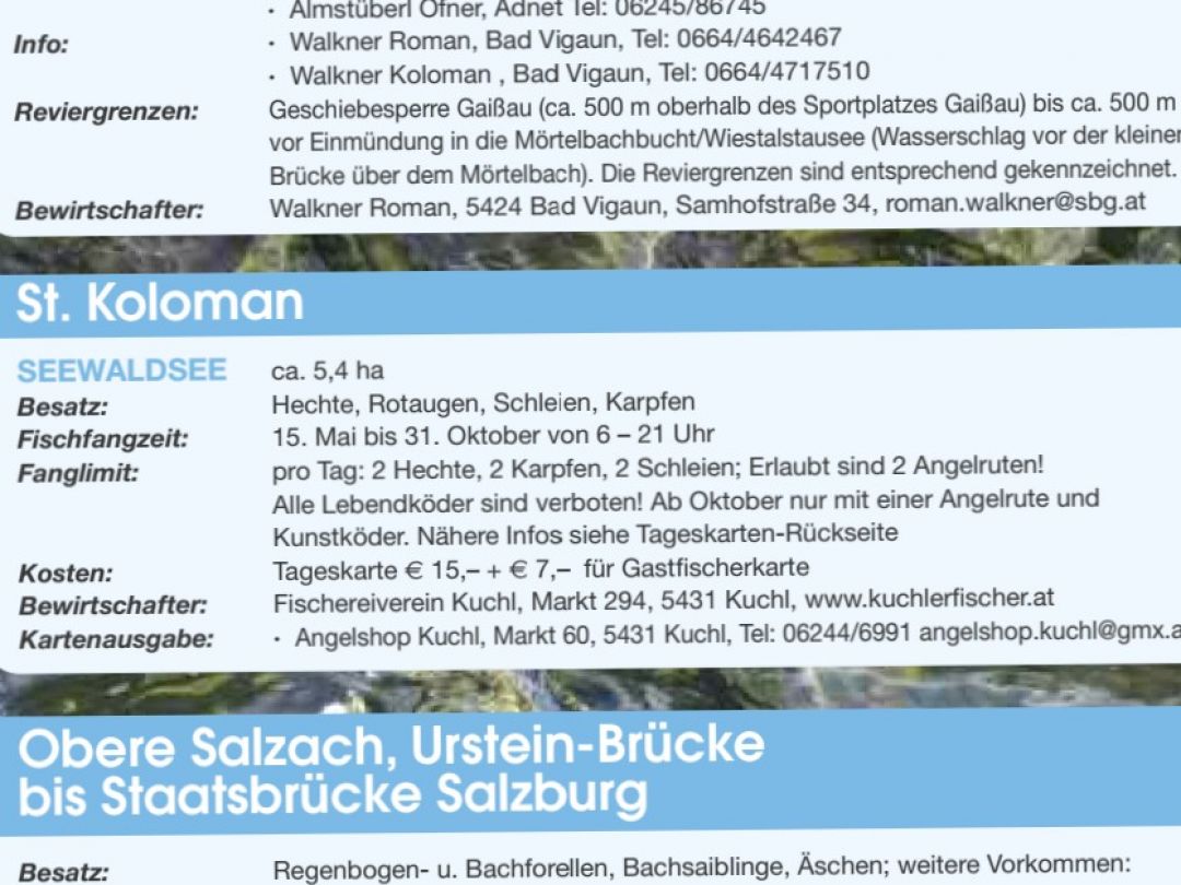 Seewaldsee (St. Koloman) angeln