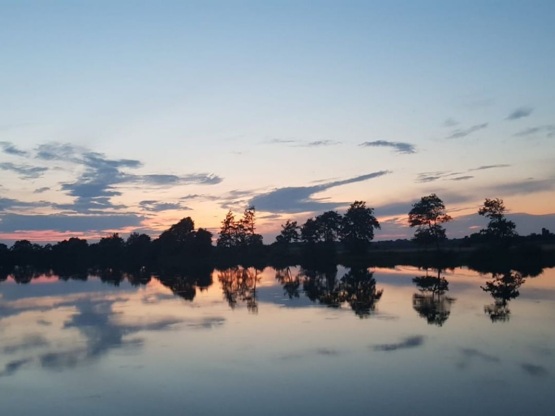 Baggerkuhle Niebüll angeln