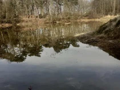 Waldsee Großoldendorf