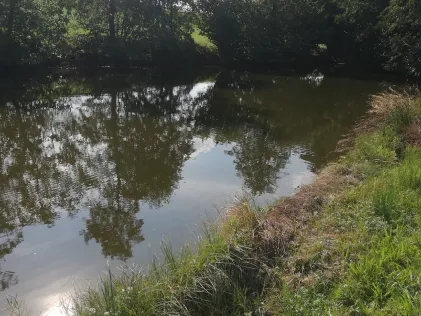 Kleinschaffhausener Weiher