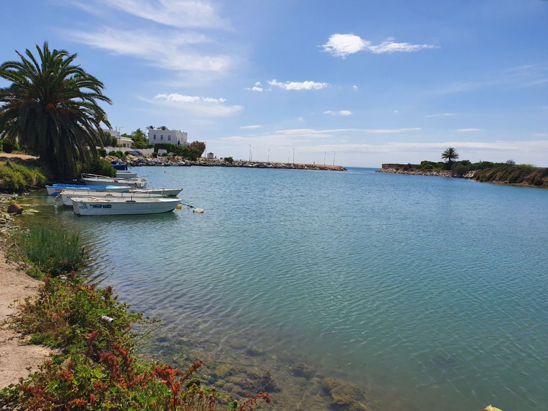 Mittelmeer (Tunis) angeln