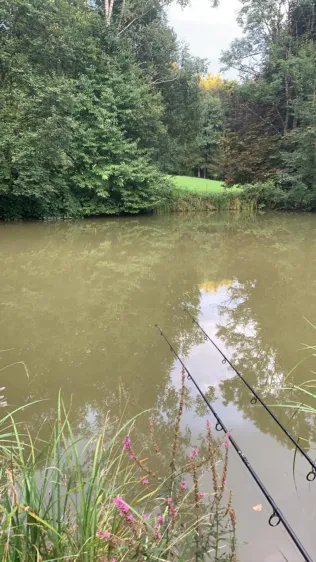 Achtalweiher