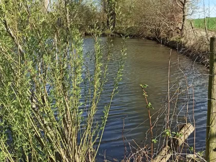 Privatweiher Reute