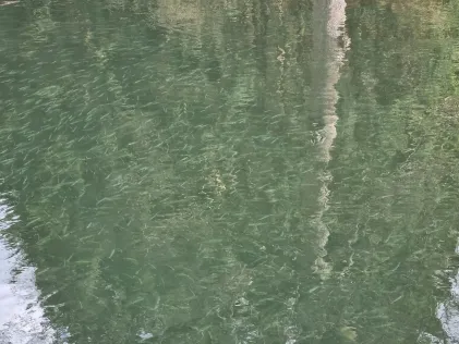 Werbellinkanal