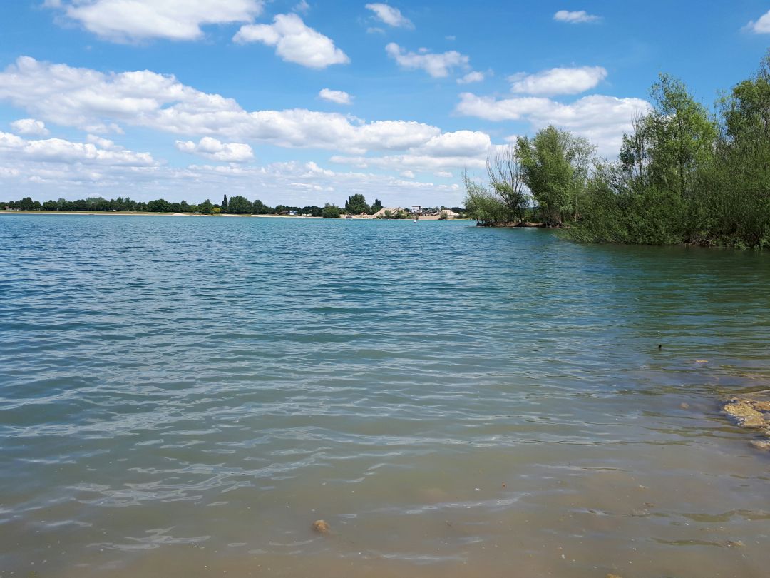 Hardtsee (Ubstadt-Weiher) angeln