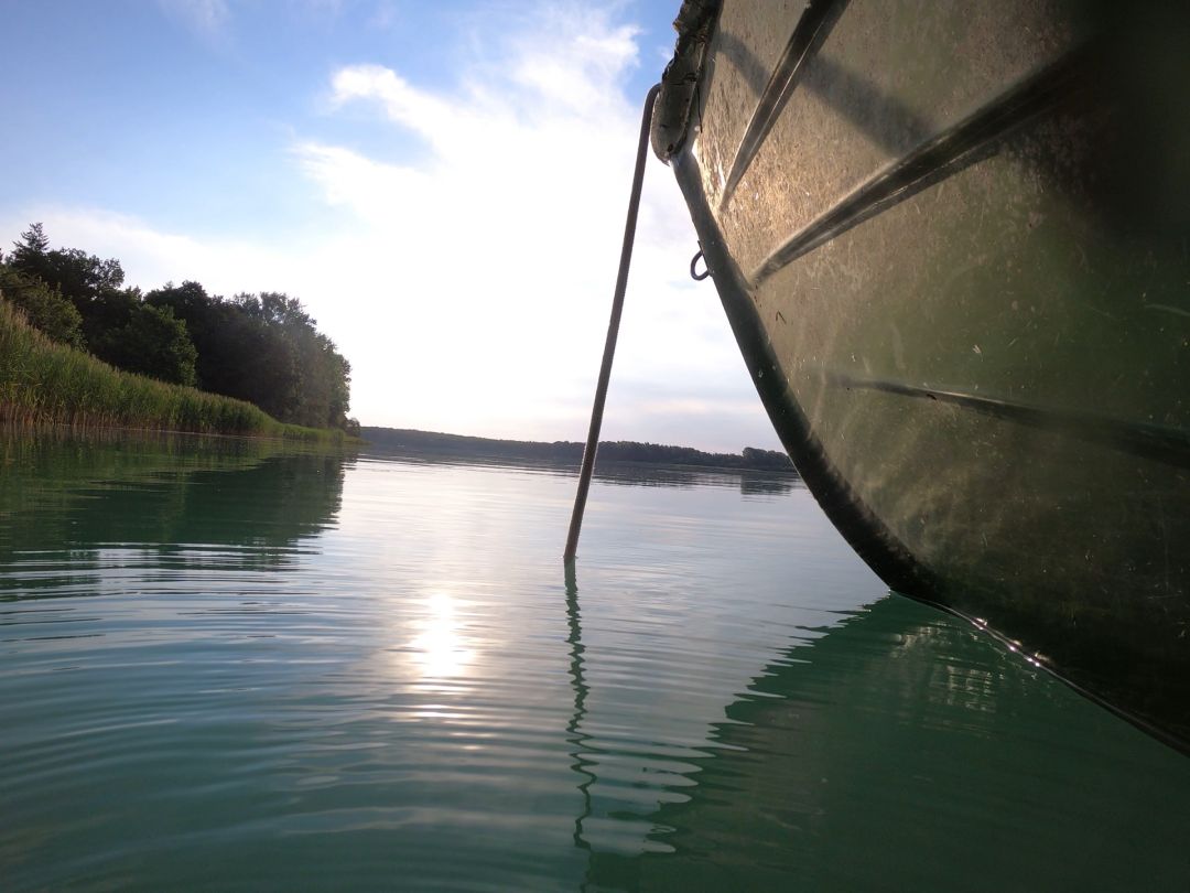 Schluensee angeln