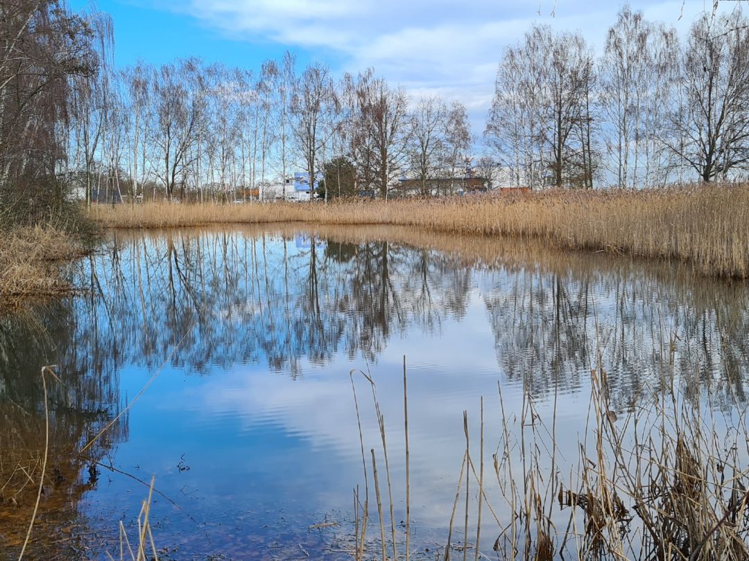 Rückhaltebecken OBI II angeln