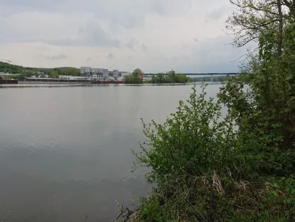 Donau (Schalding)