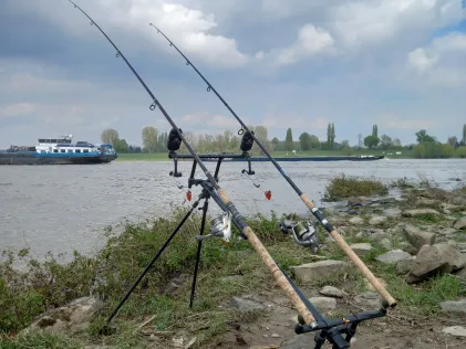 Rhein (Büderich)