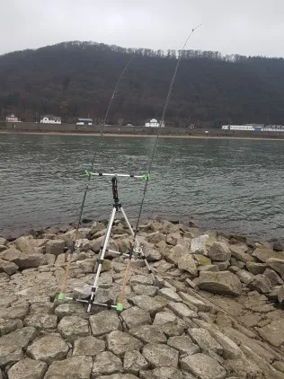 Rhein (Hammerstein)