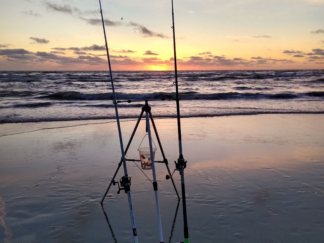 Nordsee (Vejers Strand) angeln