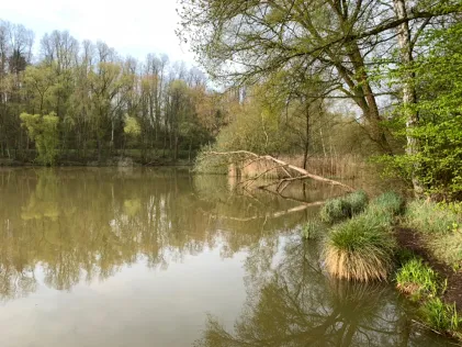 Taffingsweiher