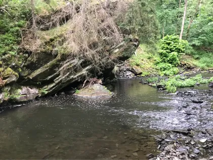 Selke (Harzgerode)