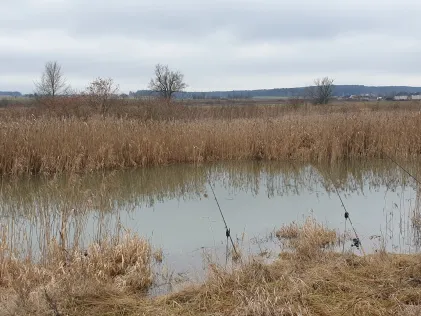 Altmühl (Aha)