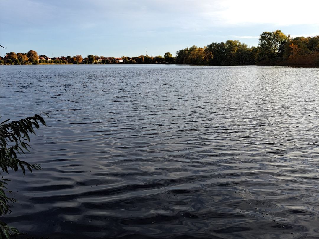 Großer Frankenteich (Stralsund) angeln