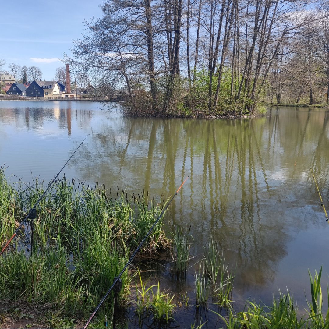 Walkteich (Stollberg) angeln