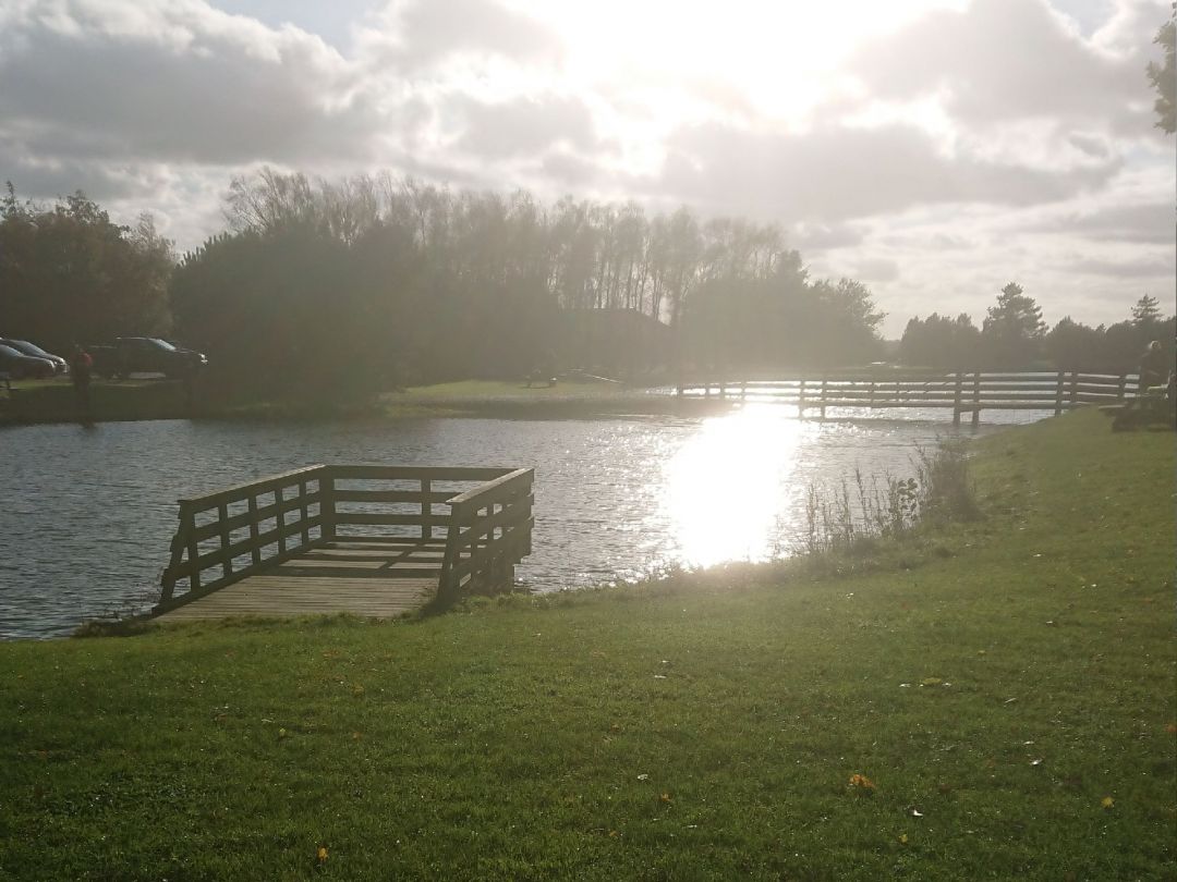 Stauning Fiskesø angeln