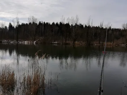Baggersee Mintraching (FV Sünching)