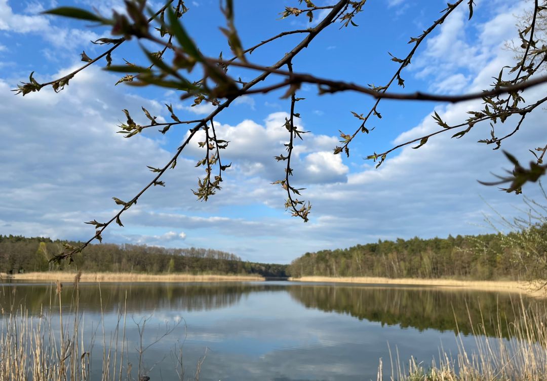 Großdöllner See angeln