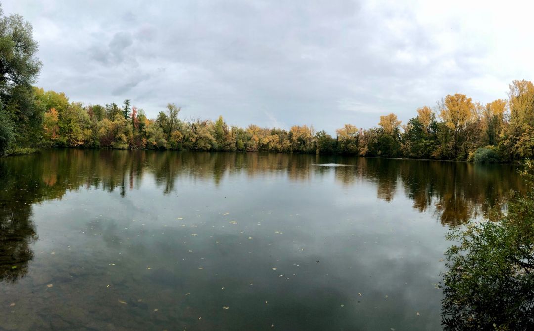 Baggersee Kirchheim am Neckar angeln