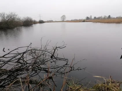 2 Torfstiche an der Peene (Loitz)