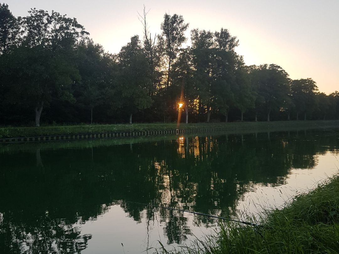 Dortmund-Ems-Kanal (Saerbeck) angeln