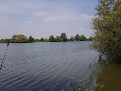 Maas (Afferden)