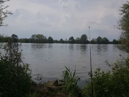 Maas (Afferden)