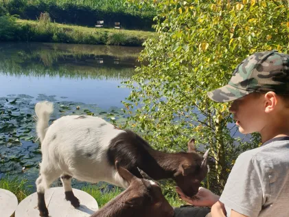 Teich am Achterkamp