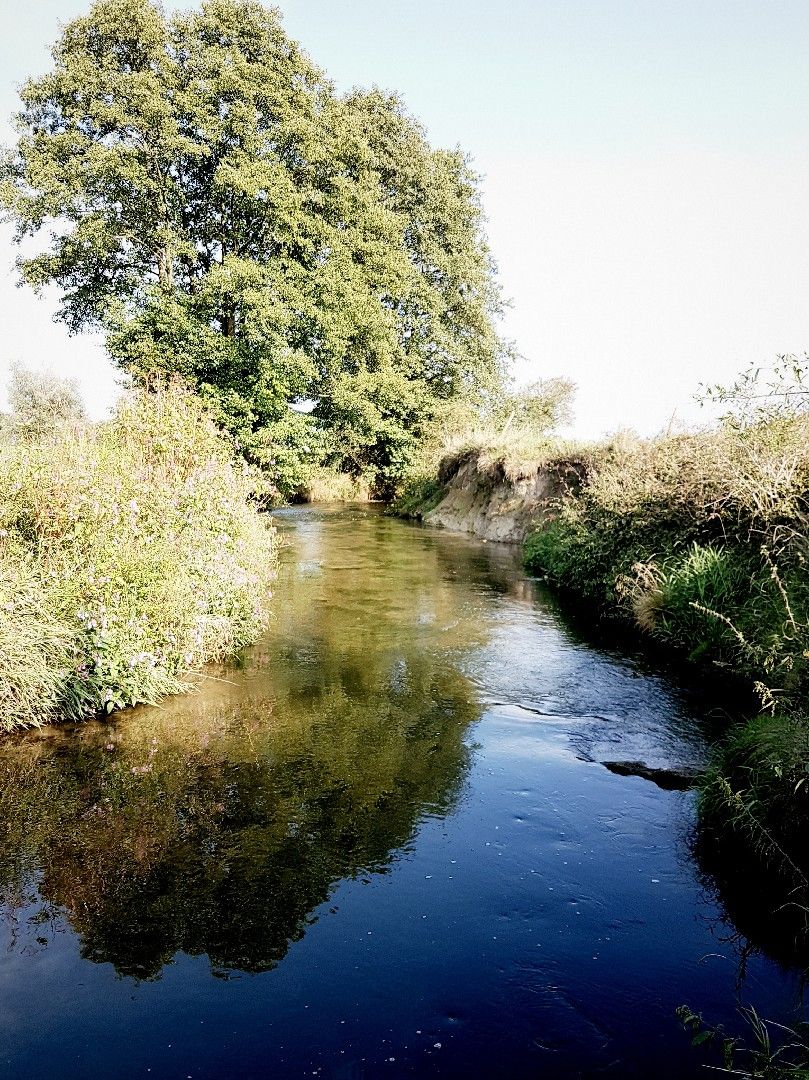 Angeln in Aßling