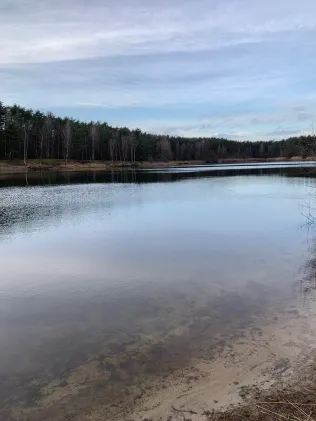 Waldsee (Gifhorn)