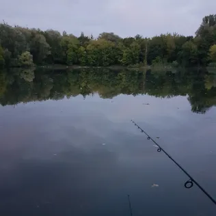 Aradosee