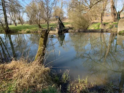 Rhume (Bilshausen)
