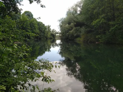 Baggersee Auenheim