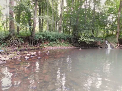Nidda (Nidda)