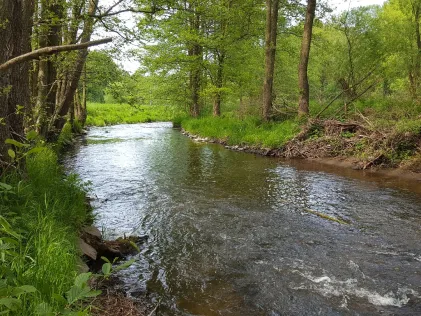 Große Striegis (Berbersdorf)
