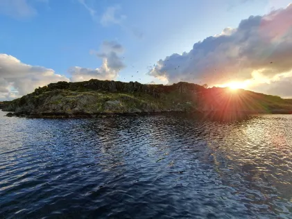 Nordsee (Haugesund)
